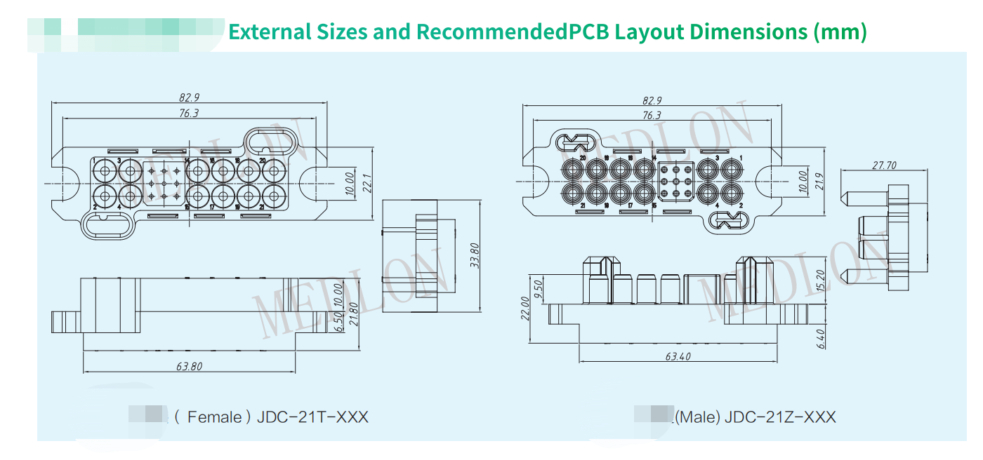 21 pin layout.png